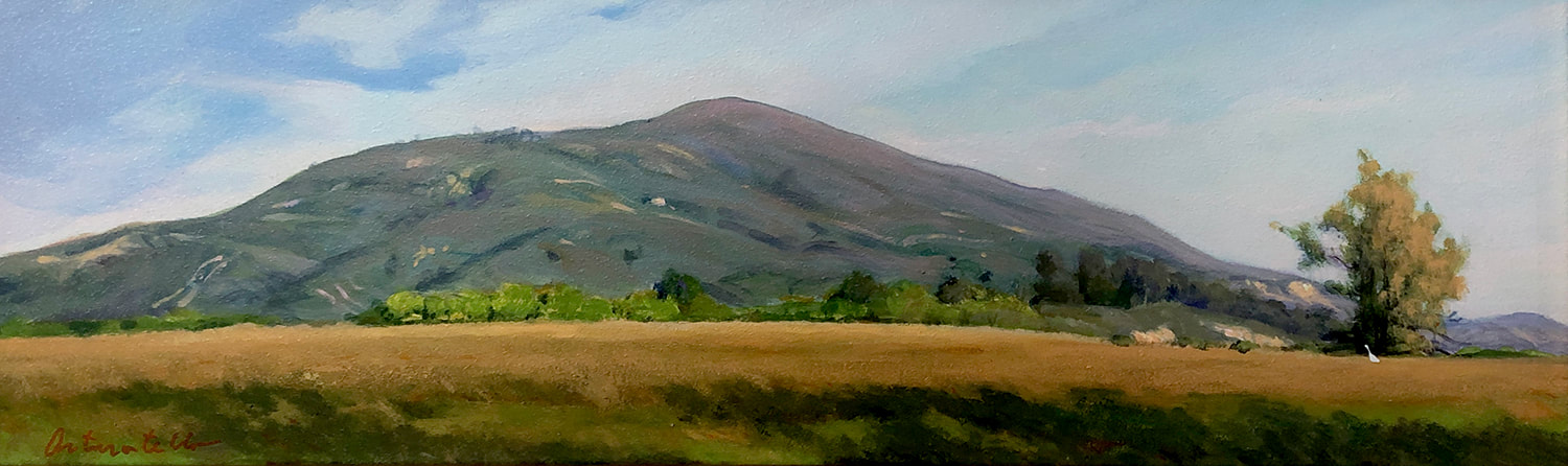 10 Arturo Tello Looking East to Rincon Mountain 8x24 acrylic 2400