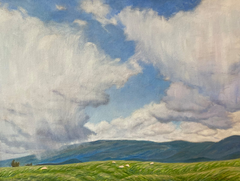 21 Rick Drake Spring Storm, San Marcos Foothills 15x20 oil 900